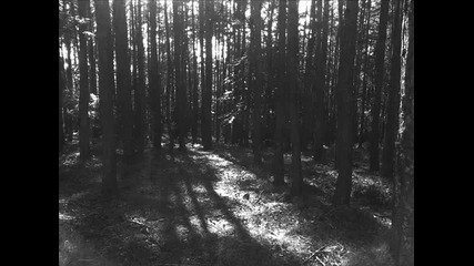 Thy Light - A crawling Worm in a World of Lies 