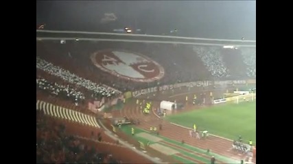 grobari 