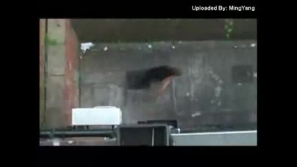 Freerun