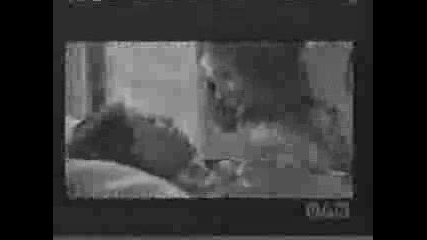 Бъфи - Лилол И Тара
