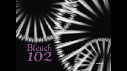 Bleach Episode 102 English Dubbed