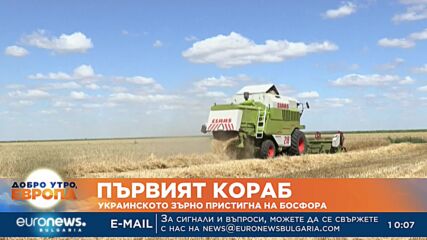 Видео - (2022-08-03 10:19:02)