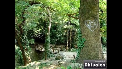 айде да идем Яно на чаршията