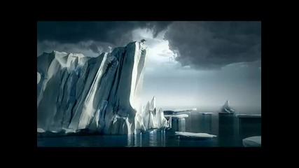 Quercus - Stop Global Warming 