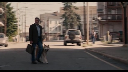 The Moment When Hachi Died 
