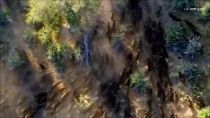 Planet Earth - Jo Blankenburg