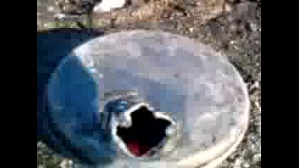 Ogan