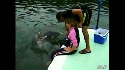 Делфин скача върху момиче (смях)