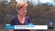 Новините на NOVA NEWS (28.07.2025 - 20:00)