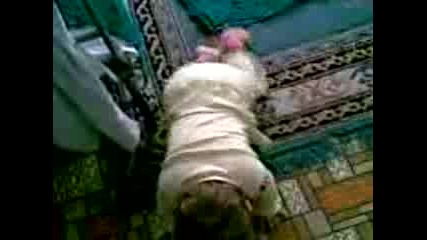 Bebo