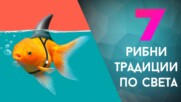 7 рибни традиции от целия свят