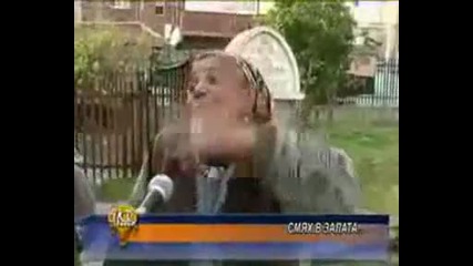 Kolko e prosta 