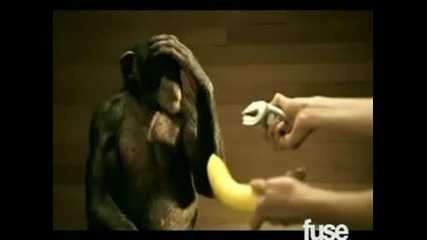 Korn - Evolution [hq]