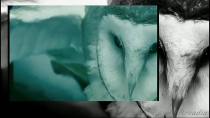 Within Temptation - Mother Earth 