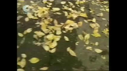 Българският филм Остатъци (1999) [част 1]