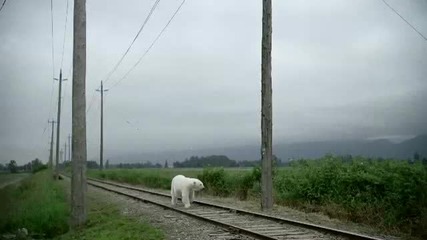 Най - опасните чудовища река Animal Planet 