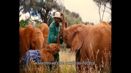 Връзката между хората и животните - National Geographic [бг субтитри]