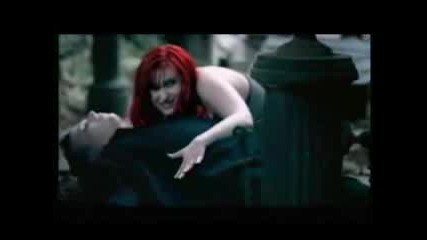 Lame Immortelle - 5 Jahre