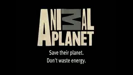 Animal Planet - The animals save the planet