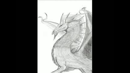 Dragon Pics
