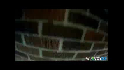 ot Video 300