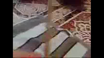 Fokus 1