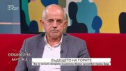 Експерт: Горите са под заплаха заради климатичните промени и остарелия модел на управление