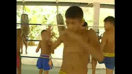 Muay Thai Boxing Mma - Using Elbows