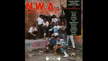 N.w.a. A Bitch Iz A Bitch