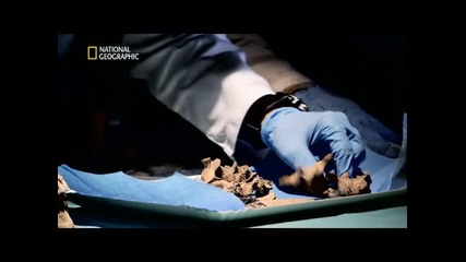 National Geographic-вампири във Венеция част 1/2