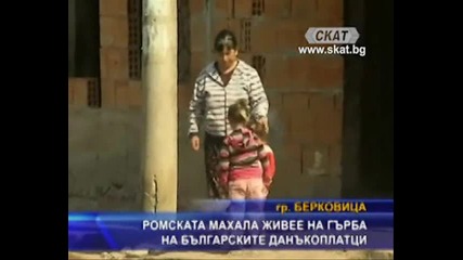 Ромска маха живее на гърба на българските данъкоплатци.