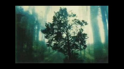 Wolfsheim - Ubers Jahr