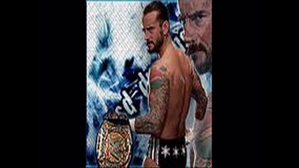 wwe cm punk-wwe champion