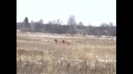 Чернобил Една От Големи Човешки Грешки