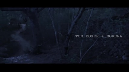 tom boxer morena - hey
