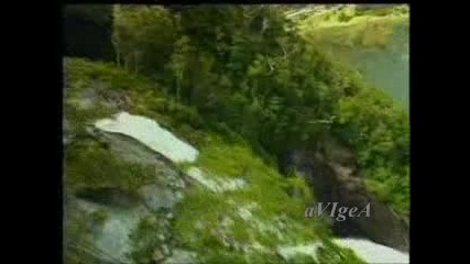 Фамилия Тоника - Лале ли си, зюмбюл ли си ( Авторски )