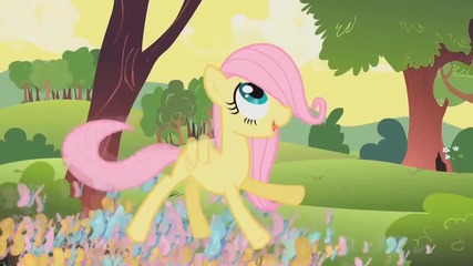 Pinkiepieswear - Flutterwonder