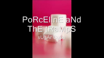 Sugar Cube