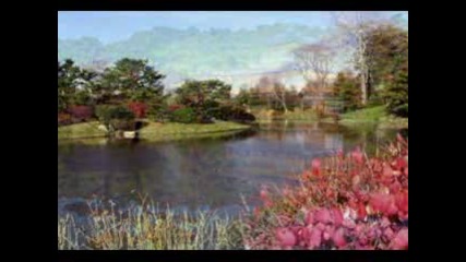 Chris Spheeris - Laguna