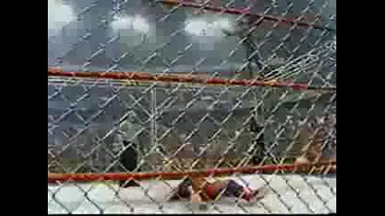 Wwf/wwe Tribute
