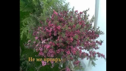Молба 