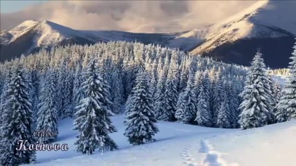 Winter Memories - цигулка