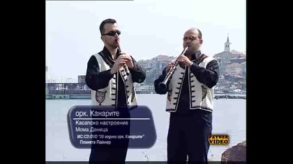 Канарите Люта Змия Мома Деница