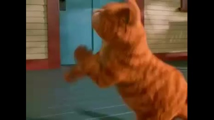 Garfield dancing now 2 Hq 