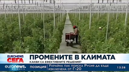 Промените в климата: Какви са ефективните решения?