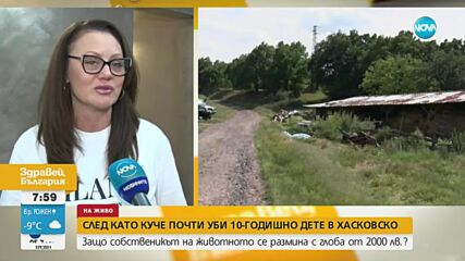 2000 лв. глоба за собственика на кучето, нахапало 10-годишно дете в Хасковско