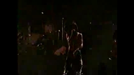Pearl Jam - Leash