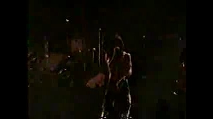 Pearl Jam - Leash