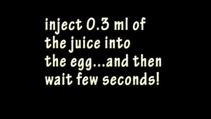 Magic Egg