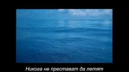 Албатрос - Тото Кутуньо ( превод) 